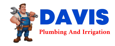 Trusted plumber in LA JOYA